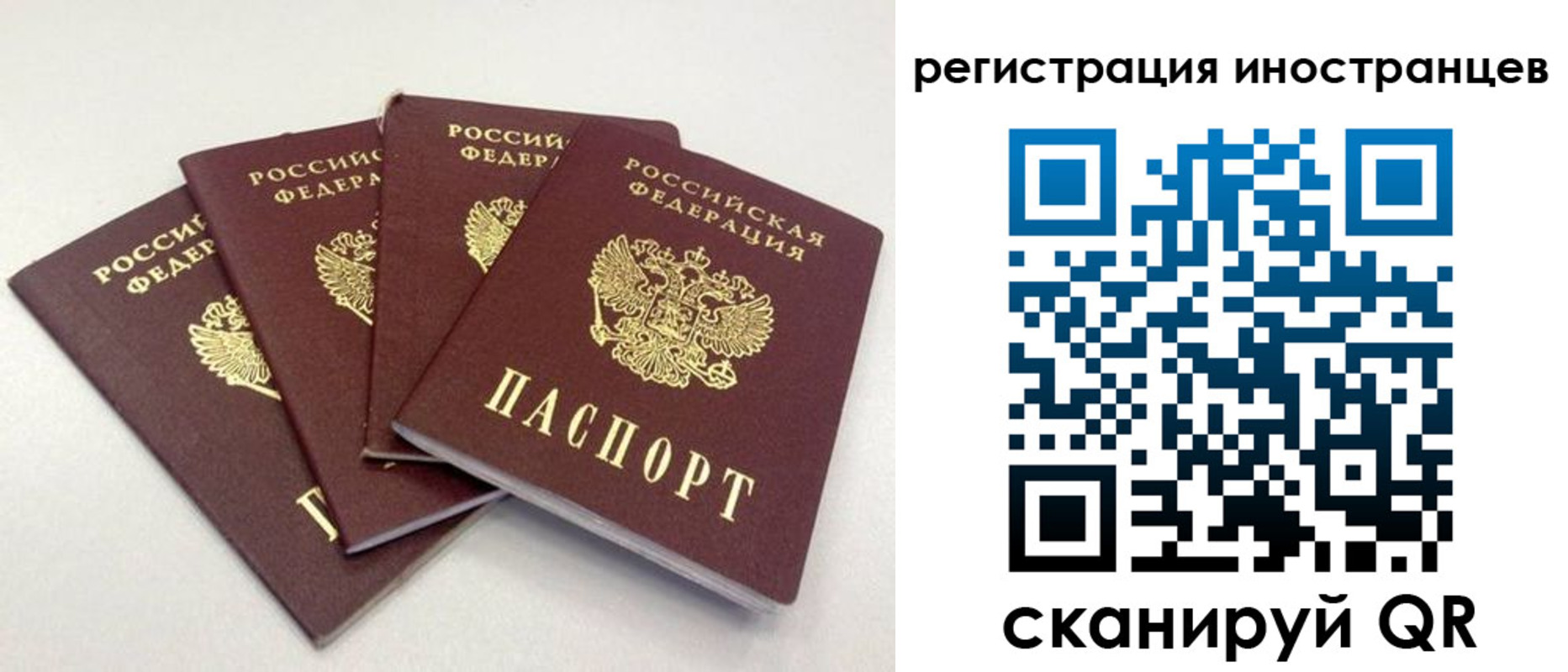 временная регистрация для школы в Нелидово